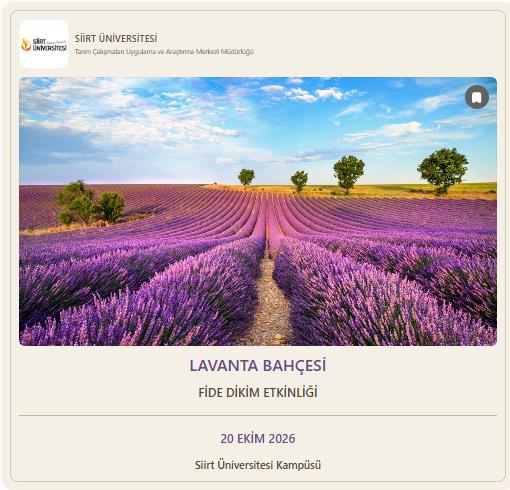 Siirt Üniversitesi Kampüsünde Lavanta Bahçesi Oluşturuldu